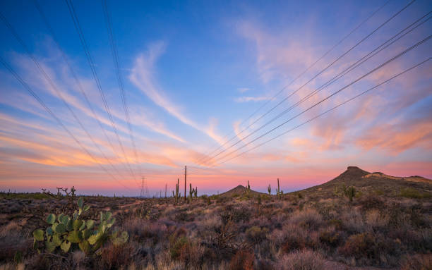 Powerlines run through desert landscape at sunrise