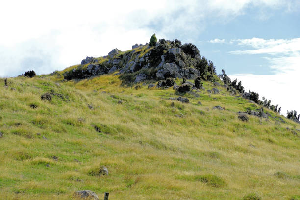 Vista captured traversing the roads around Banks Peninsula which is a peninsula of volcanic origin on the east coast of the South Island of New Zealand. It has an area of approximately 1,150 square kilometres and encompasses two large harbours and many smaller bays and coves.