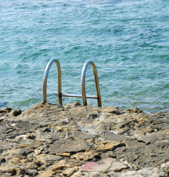 The photograph captures a set of metal stairs secured to a wooden pier, leading directly into the shallow, transparent water. Patches of dark aquatic vegetation are visible beneath the surface, contrasting with the light color of the seafloor. Beyond the immediate foreground, the expanse of the sea stretches toward a low horizon where a faint structure or landmass is discernible under an overcast sky