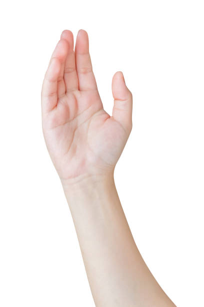 istock Woman hand gesture isolated on white background 2157015574