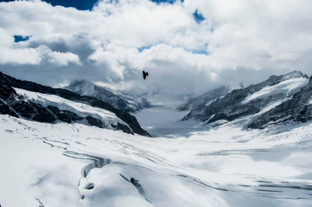 View of Glacier from Jungfraujoch,Switzerland
