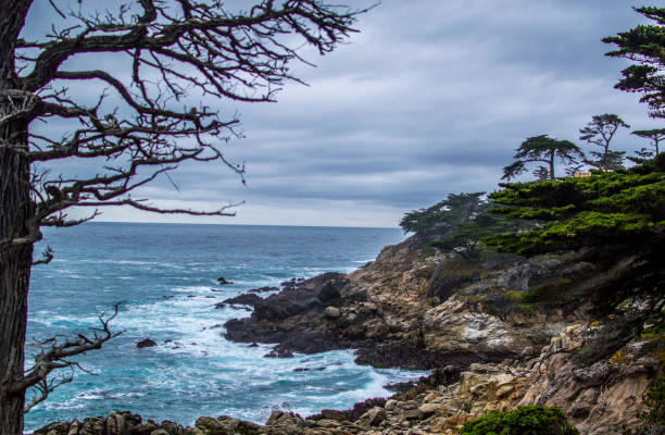 istock 17 Mile Drive, California 2157019718