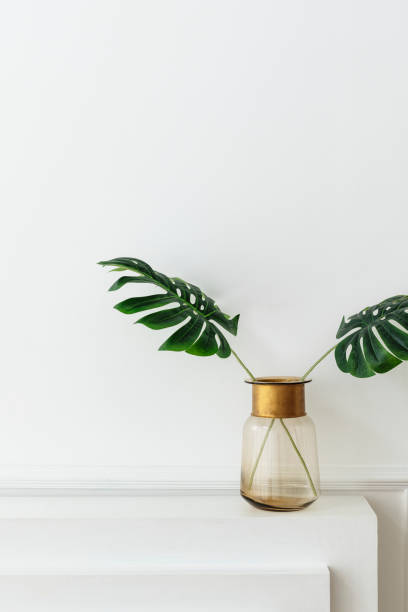 istock A leaves in a glass vase by the wall 2157021962
