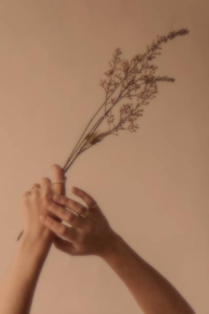 istock Feminine hands background, brown aesthetic design 2157022936