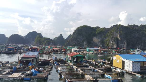 istock A Day in Ha Long Bay, Vietnam, Featuring Floating Homes and Lush Limestone Cliffs 2157034857