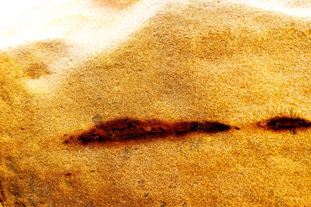 Australia, NT, public Ewaninga Conservation Reserve, area with prehistoric engravings and Aborigines historical site, rock with lichens