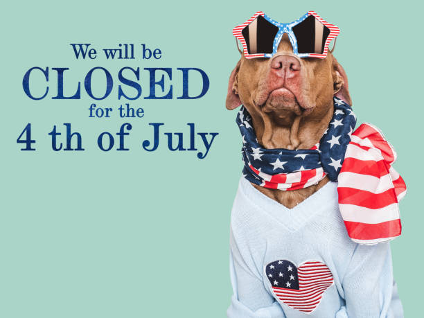 istock Signboard with the inscription We will be closed 2157036848