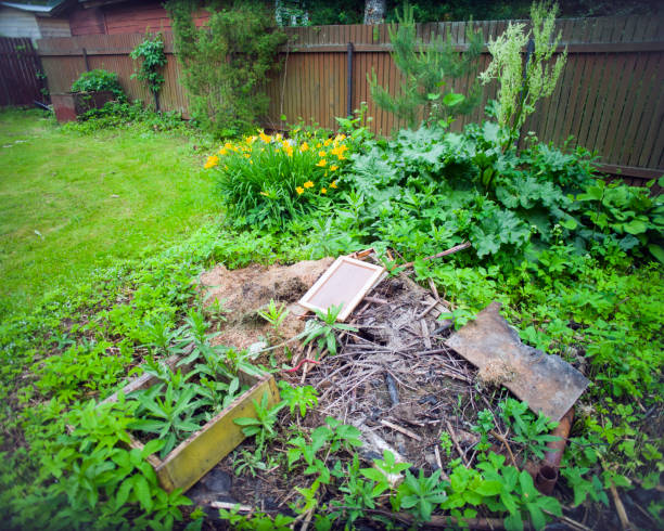 istock organic trash in the backyard 2157037491
