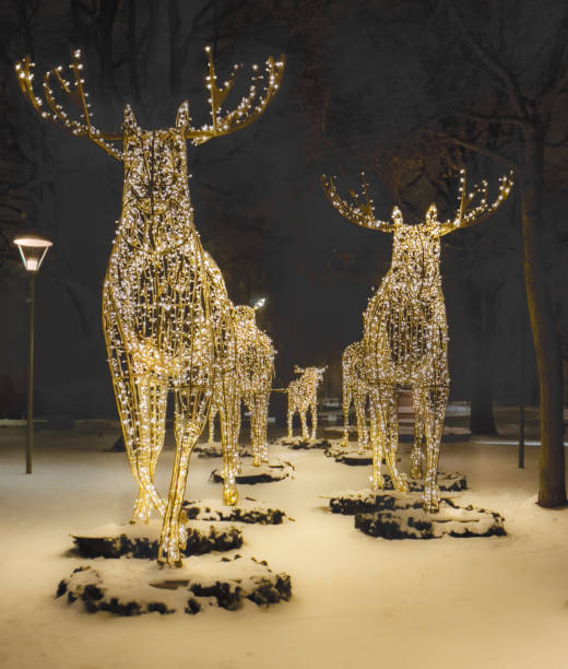 istock Reindeer Lights Pierce the Misty Night 2157045357
