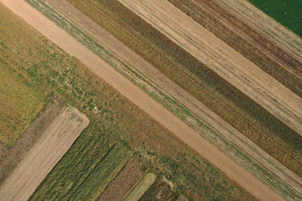 istock Aerial view of agricultural fields by drone 2157049710
