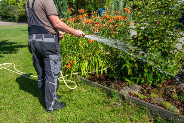 istock Gardener waters a flower garden 2157051263