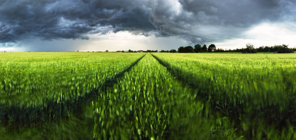 istock Panorama od Dark rain cloud with storm over a green field with path, agriculture landscape 2157057166