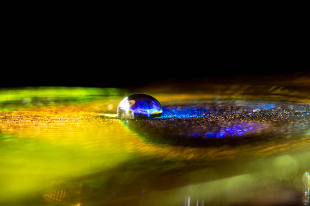 A photograph of clear water droplets resting on the feathers of a peacock in green, yellow, blue, orange, and black creates an unusual and beautiful image.