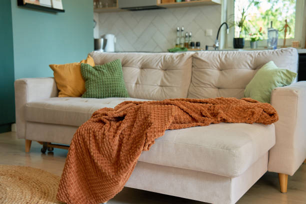 istock Sofa with brown blanket and decorative pillows in living room setting 2157062857