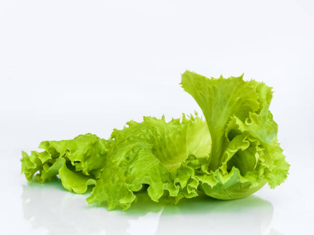 istock Lettuce leaves  isolated on white background with reflection 2157063109