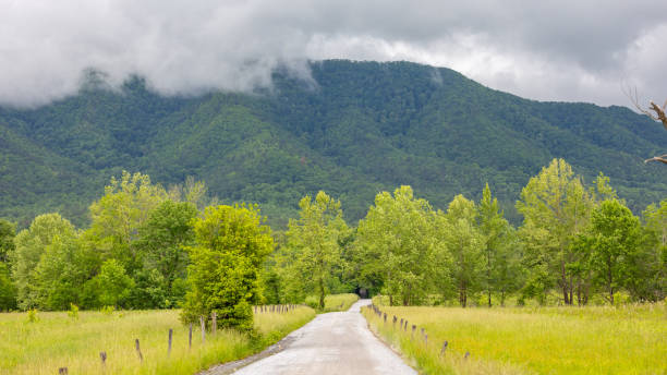 istock Scenic view of a dirt road leading toward a distant mountain 2157065813