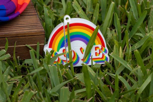 istock Pride celebration decor with rainbow-colored items in nature 2157066059