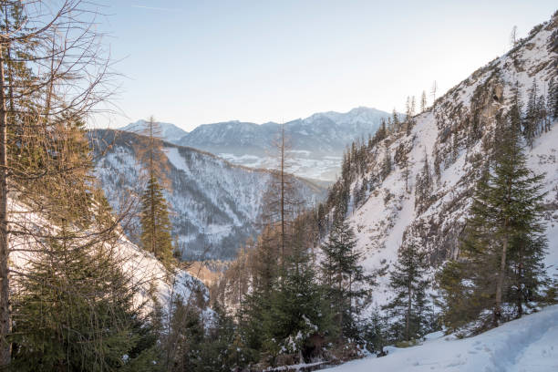 istock Snow-covered trees near mountains under a blue sky 2157066266