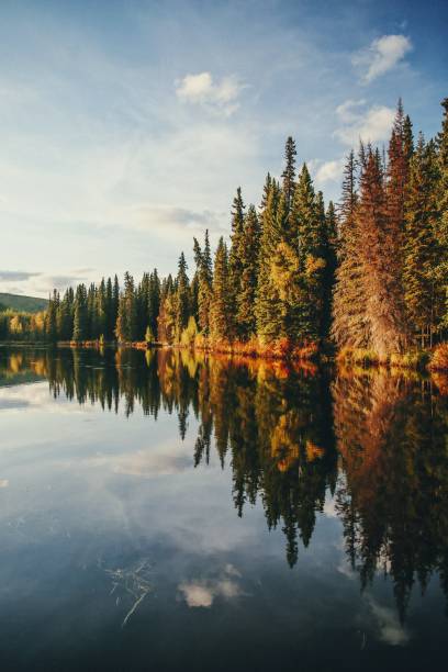 istock Reflection of trees, clouds on a lake in Alaska 2157067523