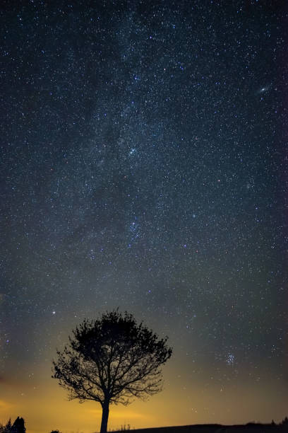 istock Nighttime sky and distant trees in a serene scene 2157069183