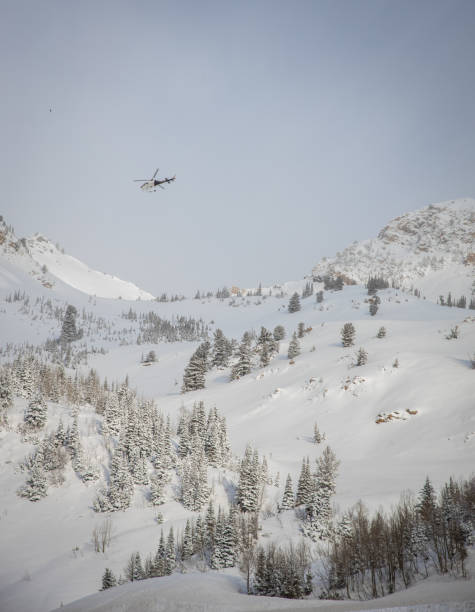 istock Airplane soars over snowy mountains and trees 2157069553