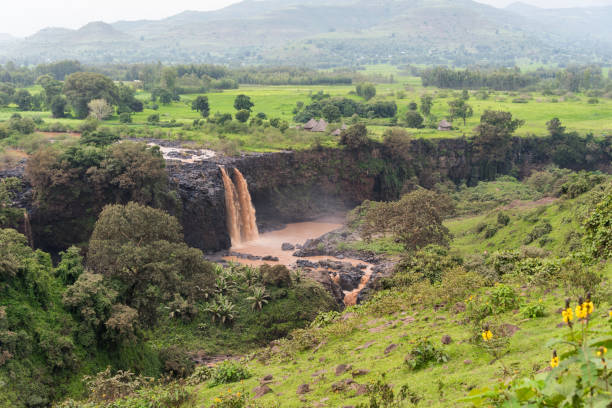 istock White Nile waterfalls in Ethiopia, known as White Nile section 2157071377