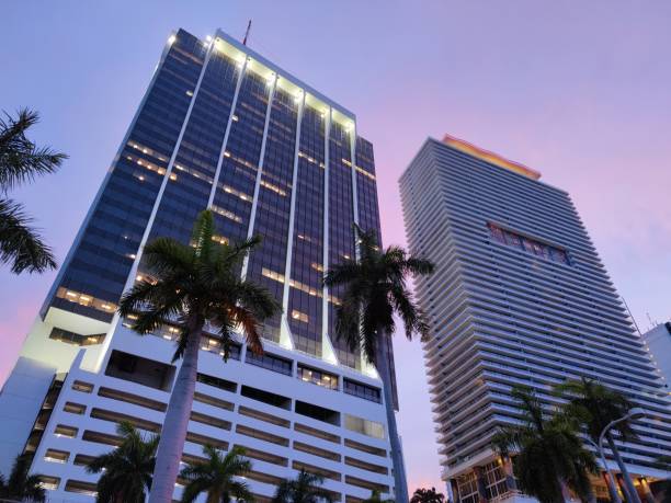 istock Skyscrapers against an evening sky with palm trees in the foreground 2157071645