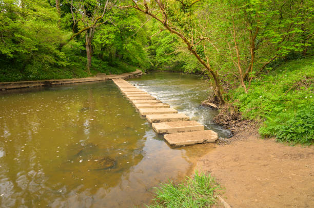 istock Stepping Stones across River Blyth in Humford Woods 2157080538