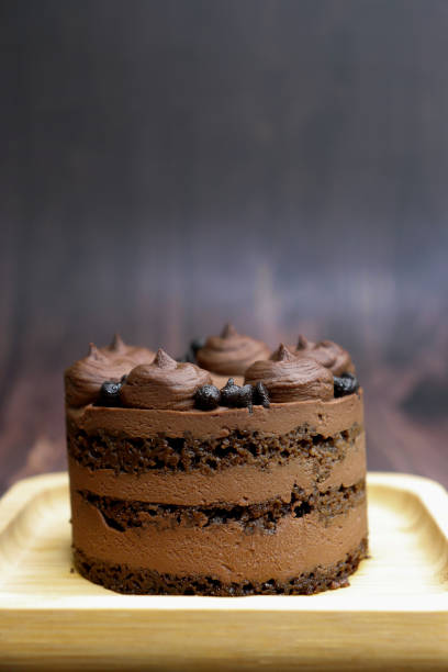 istock Double Chocolate Mini cake. Endless variety, easy serving, moist layers, rich frosting. A symphony of flavor in every bite. Bakery products. Belgian Dark Chocolate Cake. Moody background. copy space 2157080542