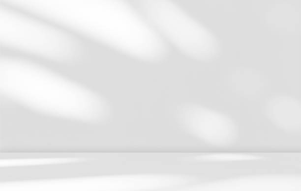 istock Empty white room studio with leaves shadow overlay effect for product presentation display. 2157085996