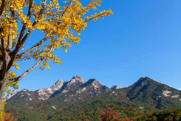 the appearance of a mountain peak in autumn