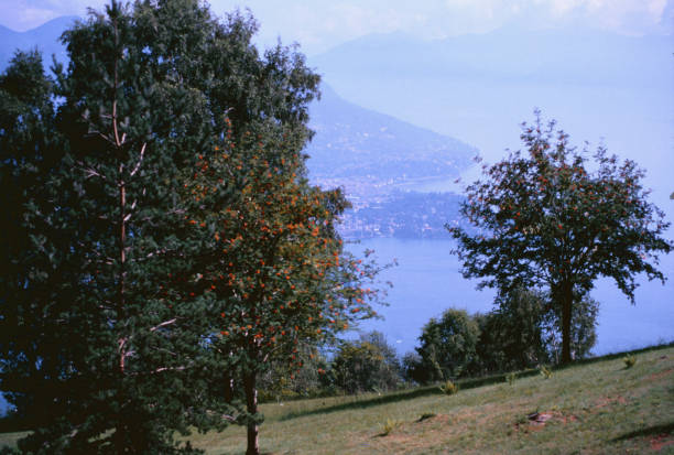 Lake Maggiore seen from the Mottarone relief, 3