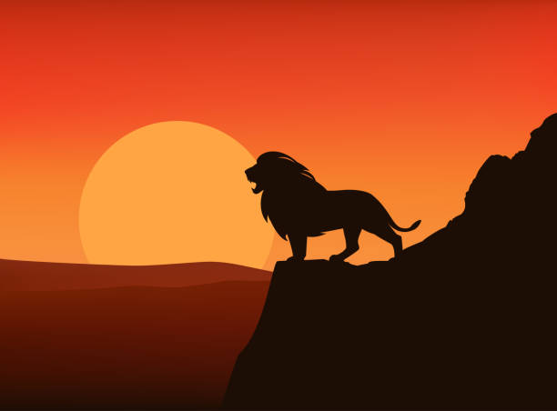 istock wild african lion standing at mountain cliff at sunset vector silhouette lanscape 2157090148