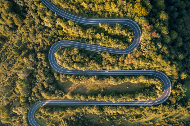 istock Winding road and forest, aerial view 2157090264
