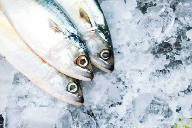 istock close up of some raw mackerel on ice 2157102903