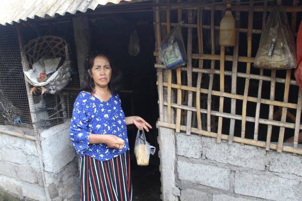istock Asian woman in the chicken coop 2157102955