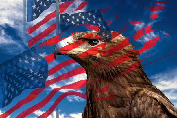 istock Eagle and the American state flag 2157103137