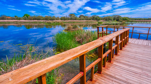 istock Tablas de Daimiel National Park, Spain 2157103510