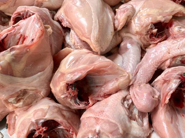 istock Group of fresh whole chicken meat 2157104256