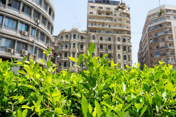 Buildings visible from the grass on the street