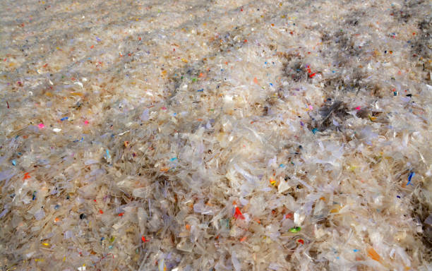 istock Cutting old plastic with a machine and drying it on the road. New items will be made from this pulverized plastic 2157119592