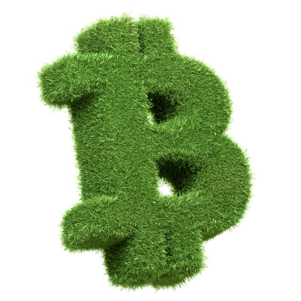 istock Bitcoin cryptocurrency symbol with a fresh green grass texture isolated on a white background, suggesting eco-friendly digital finance 2157126069