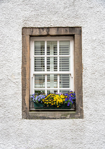 istock Background photography of aged window 2157130473