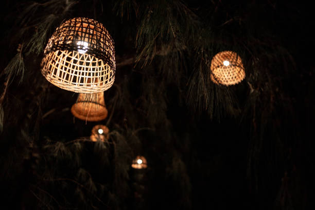 istock lamps on a tree. beautiful lampshades. in the trees. night,beach 2157133548