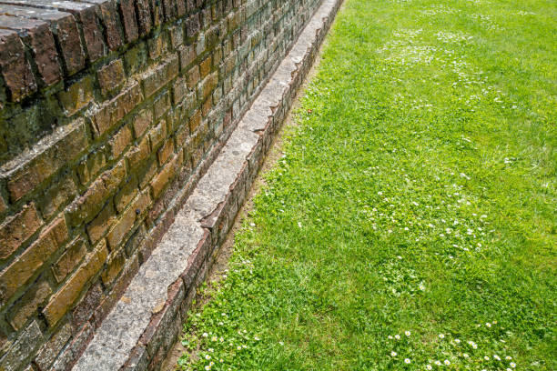 brick wall and green lawn