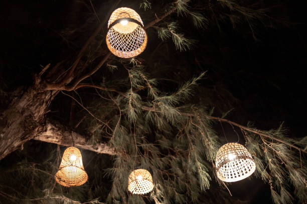 istock lamps on a tree. beautiful lampshades. in the trees. night,beach 2157135162