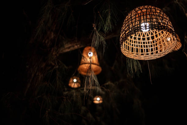 istock lamps on a tree. beautiful lampshades. in the trees. night,beach 2157135967