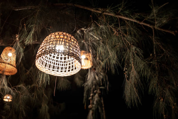 istock lamps on a tree. beautiful lampshades. in the trees. night,beach 2157136134
