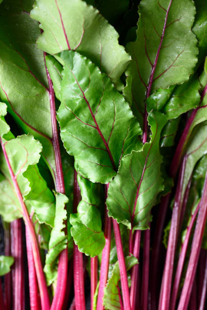 istock A bunch of fresh young beet greens close up 2157139408