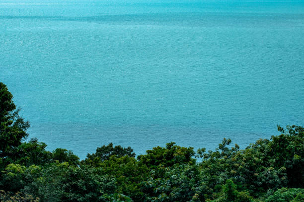 view of the sea from above. beautiful ocean. ship. summer. tree crowns